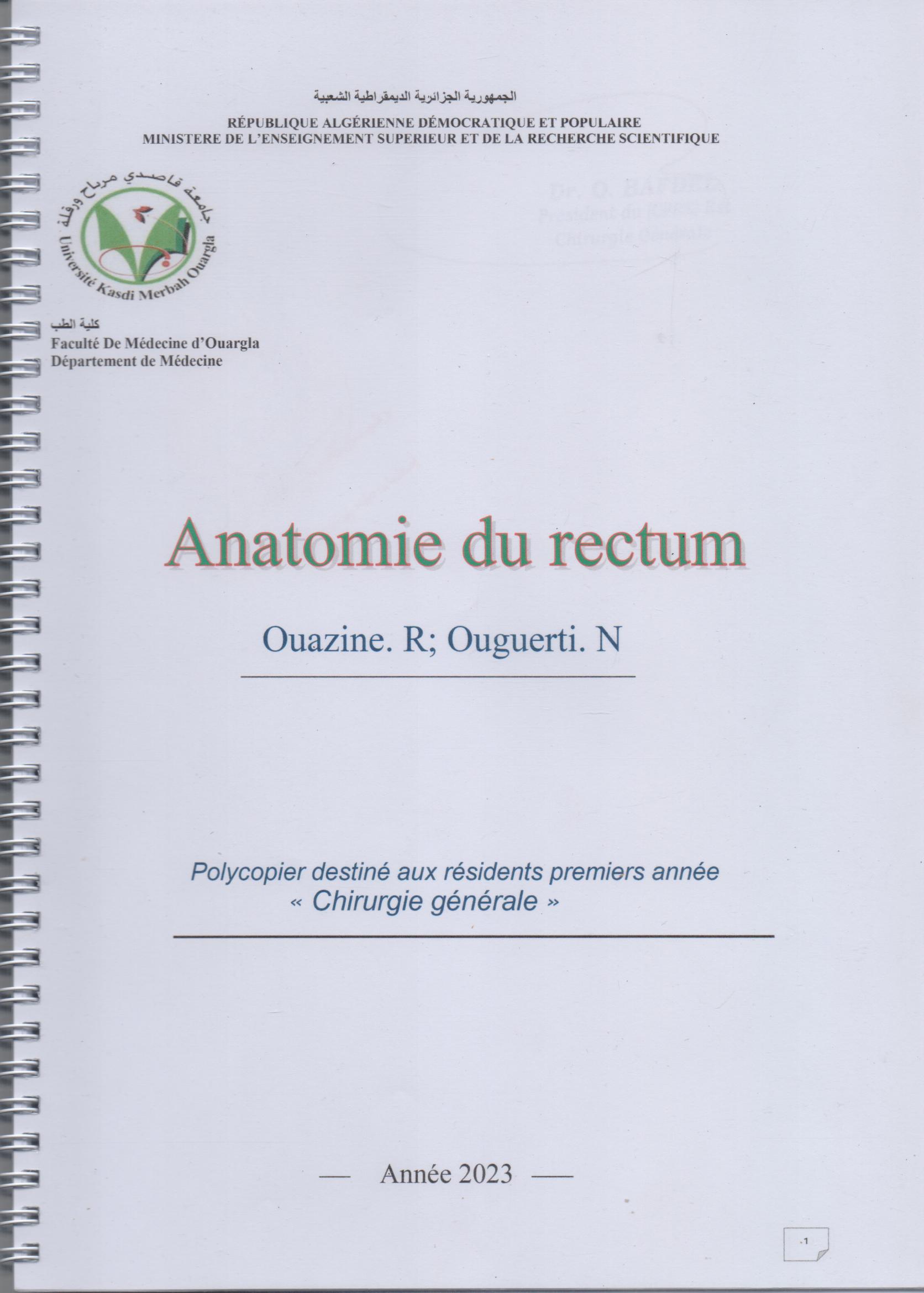 Anatomie du rectum 001