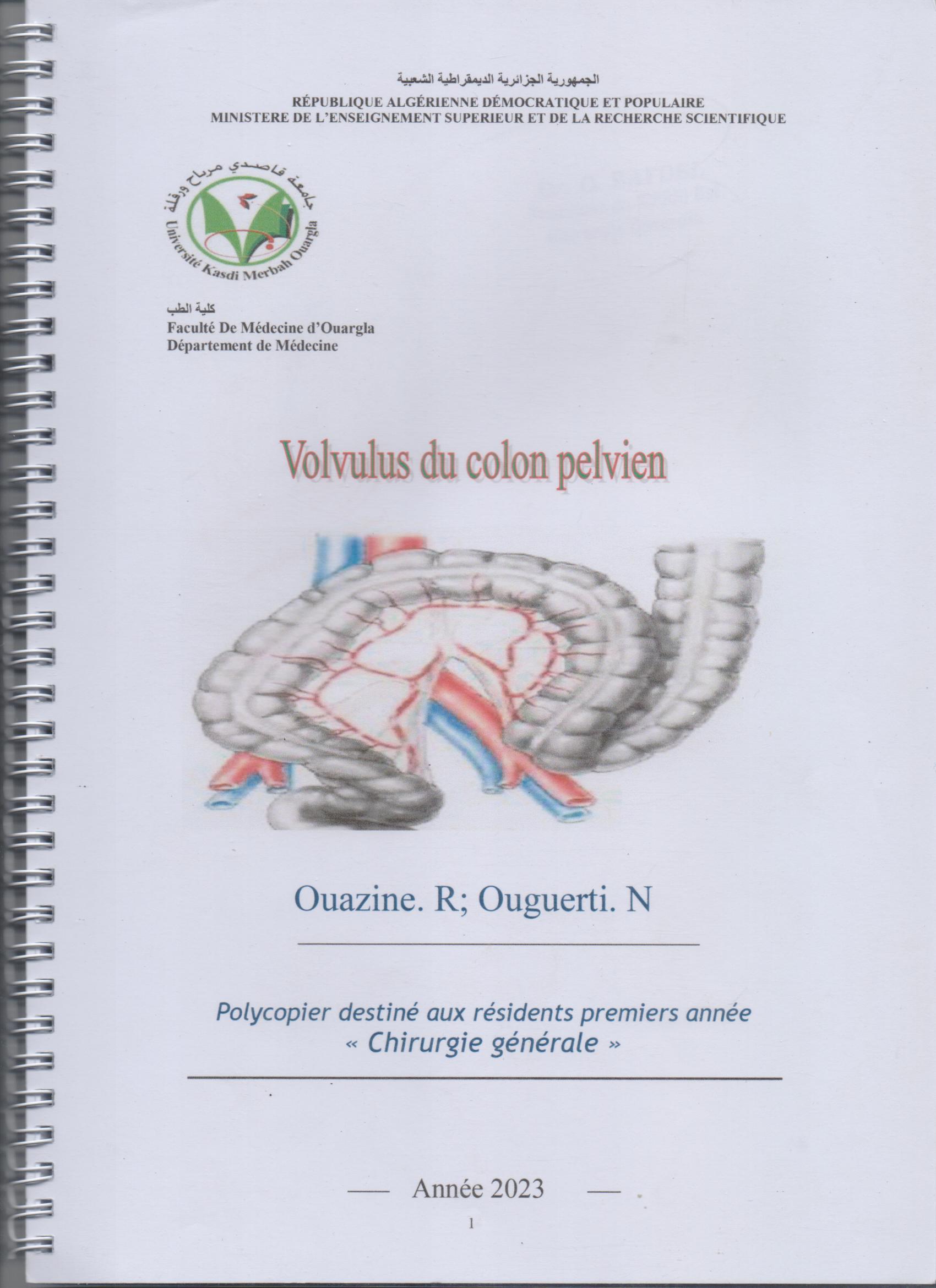 Volvulus du colon pelvien 001